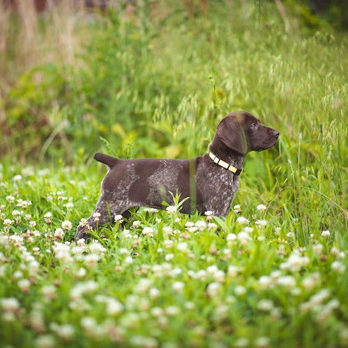 pexels-brixiv-8254913