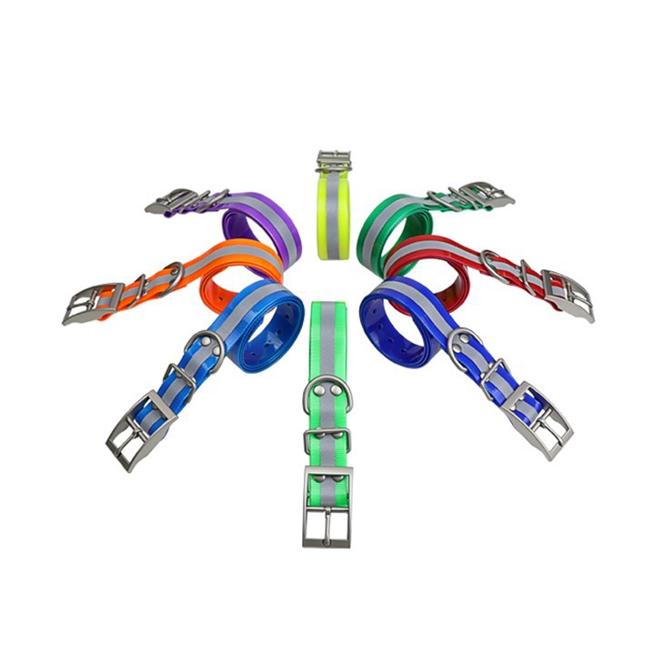 Premium TR-Köpek Av Köpeği Tasması